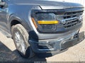Photo 19 of 21 — 2025 Ford F-150