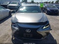 Photo 12 of 16 — 2019 Lexus ES 350