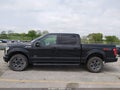 Photo 14 of 18 — 2015 Ford F-150