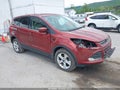 Photo 1 of 11 — 2015 Ford Escape