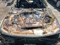 Photo 10 of 10 — 2018 BMW 3 Series