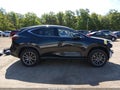 Photo 14 of 17 — 2025 Lexus NX 350h