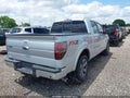 2013 Ford F-150 — photo 4 of 16 | VIN 1FTFW1CT9DKD39922