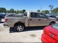 Photo 13 of 16 — 2010 Ford F-150