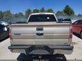 Photo 16 of 16 — 2010 Ford F-150