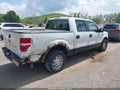 Photo 4 of 17 — 2013 Ford F-150