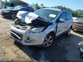 Photo 2 of 15 — 2014 Ford Escape