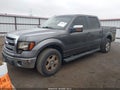 Photo 2 of 17 — 2013 Ford F-150