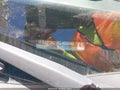 Photo 9 of 12 — 2014 Ford Focus