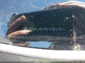 Photo 12 of 12 — 2015 Chevrolet Equinox