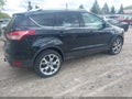 Photo 4 of 17 — 2016 Ford Escape