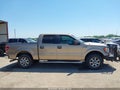 Photo 13 of 16 — 2013 Ford F-150