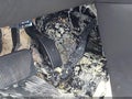 2008 Ford Edge — photo 6 of 10 | VIN 2FMDK36C28BA19783