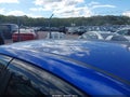 Photo 19 of 19 — 2017 Subaru WRX