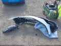 2024 Chevrolet Malibu — photo 12 of 17 | VIN 1G1ZD5STXRF151463