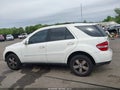 2006 Mercedes-Benz ML-Class — photo 14 of 16 | VIN 4JGBB75E06A065171