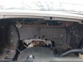Photo 7 of 12 — 2004 Chevrolet Silverado 1500