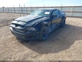 2014 Ford Mustang — photo 2 of 16 | VIN 1ZVBP8AM4E5251342