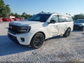 Photo 2 of 17 — 2025 Ford Expedition