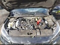 2024 Nissan Sentra — photo 10 of 19 | VIN 3N1AB8BV0RY268476