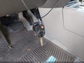 Photo 11 of 11 — 2007 Ford Edge