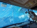 Photo 6 of 18 — 2013 Ford Expedition