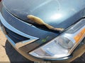 Photo 13 of 14 — 2015 Nissan Versa