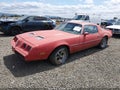 Photo 2 of 17 — 1981 Pontiac Firebird