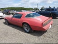 Photo 3 of 17 — 1981 Pontiac Firebird