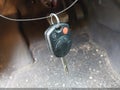 Photo 11 of 16 — 2013 Ford Focus