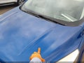 Photo 6 of 16 — 2018 Ford Escape