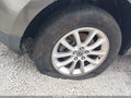 Photo 12 of 12 — 2010 Ford Edge