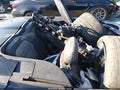Photo 8 of 16 — 2023 Chevrolet Camaro