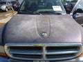 1998 Dodge Dakota — photo 6 of 14 | VIN 1B7FL26X7WS611867