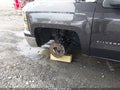 Photo 21 of 21 — 2014 Chevrolet Silverado 1500