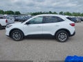 Photo 18 of 20 — 2022 Ford Escape