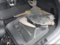Photo 18 of 20 — 2019 Hyundai Santa Fe