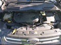 Photo 10 of 11 — 2014 Ford Escape