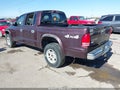 2004 Dodge Dakota — photo 3 of 11 | VIN 1D7HG48N24S608172