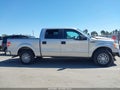Photo 13 of 18 — 2013 Ford F-150