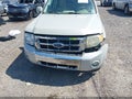 2009 Ford Escape — photo 6 of 20 | VIN 1FMCU04G49KA56951