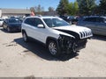 2016 Jeep Cherokee — photo 1 of 17 | VIN 1C4PJMDS8GW270650
