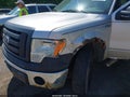 Photo 6 of 16 — 2011 Ford F-150