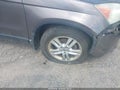 Photo 19 of 19 — 2010 Honda CR-V