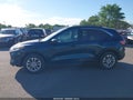 Photo 14 of 16 — 2020 Ford Escape