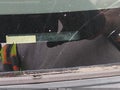 Photo 9 of 17 — 2012 Toyota Corolla