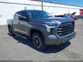 2023 Toyota Tundra — photo 1 of 15 | VIN 5TFLA5DB0PX059232