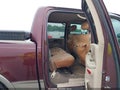 Photo 8 of 12 — 2002 Ford F-150
