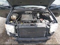 Photo 10 of 12 — 2011 Ford Escape