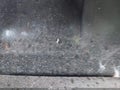 2026 Toyota Tacoma — photo 15 of 16 | VIN 3TMLB5JN4TM265116